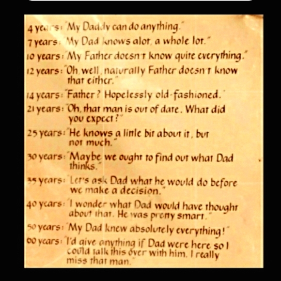 ⁉️ BICYCLE RACK REFLECTOR  ⁉️ I THINK ⁉️ - Picture 8 of 16